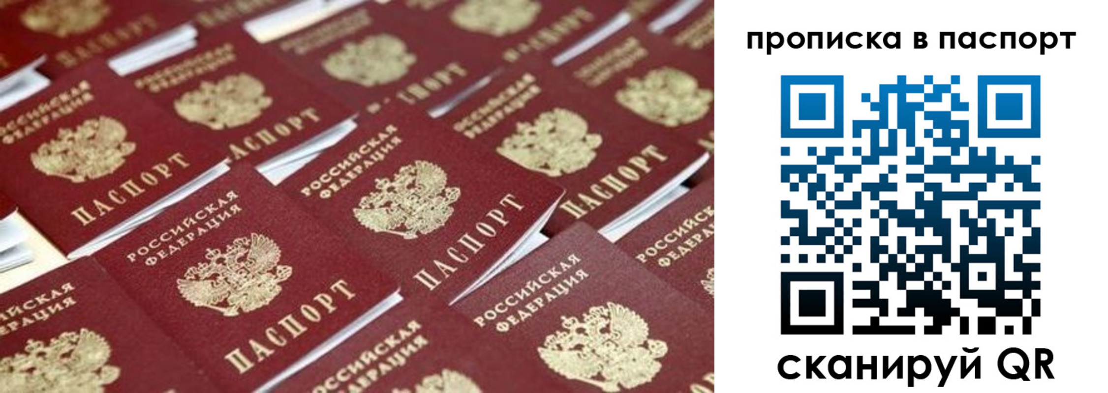 прописка гарантия в Октябрьском